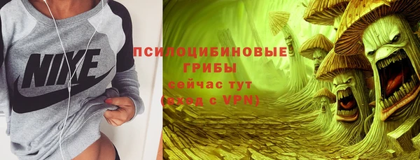 шишки Нефтекумск