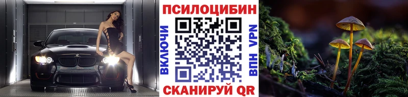дарнет шоп  Болохово  Галлюциногенные грибы мухоморы 